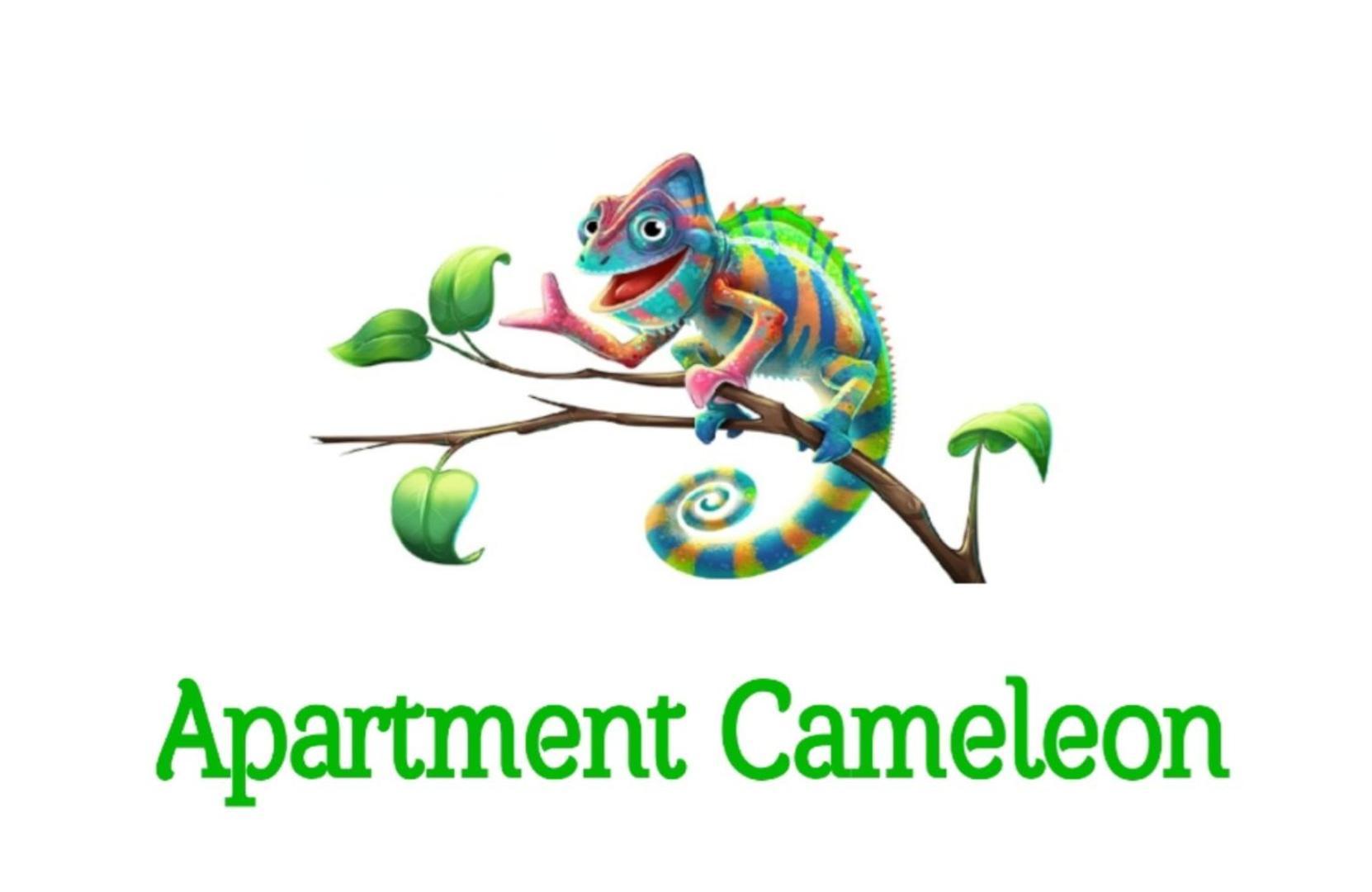 Apartment Cameleon Dubrovnik Buitenkant foto